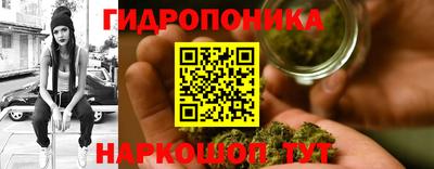 стаф Волжск