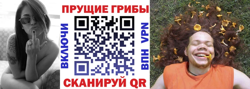 цены наркотик Дзержинский МЕГА рабочий сайт Псилоцибиновые грибы прущие грибы