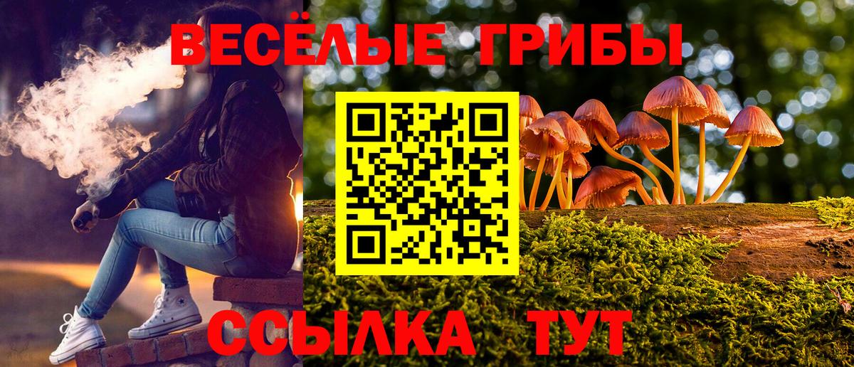 Псилоцибиновые грибы Psilocybine cubensis Дзержинский