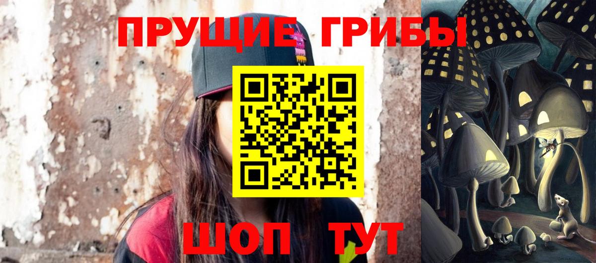 Псилоцибиновые грибы прущие грибы  Дзержинский 